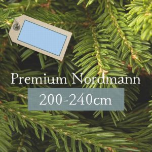 Premium Nordmann 200-240cm (Blue Label)