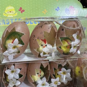 Easter Chicks in egg