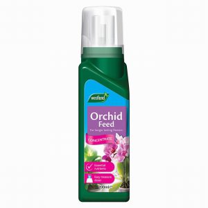 Westland Orchid Concentrated Feed 200ML
