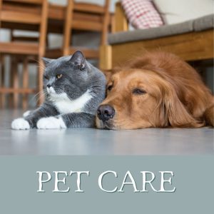 Pet Care