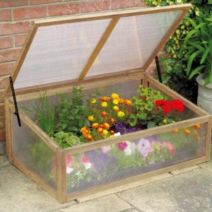 Westland Grow It Wooden Cold Frame Natural
