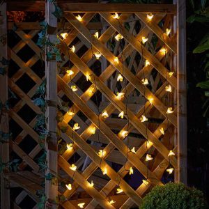 Buzzy Bee Solar String Lights – Set of 50