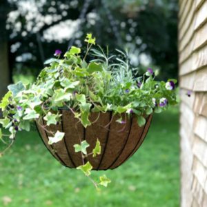 York Deluxe Hanging Basket with Coco Liner 16in