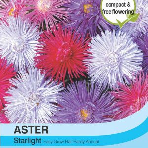 Aster Starlight Mixed