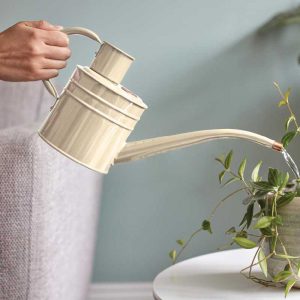 Home & Balcony Watering Can – Ivory 1L