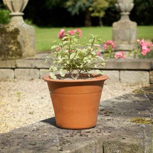 Yorkshire Flowerpots Harrogate Pot – Medium