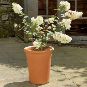 Yorkshire Flowerpots Tall Flowerpot