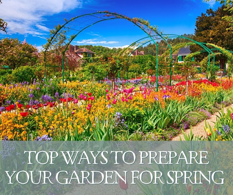 You are currently viewing Blooming Lovely: Top Ways To Prepare Your Garden For Spring 