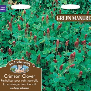 GREEN MANURE Crimson Clover