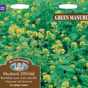 GREEN MANURE Mustard (White)