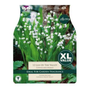LILY OF THE VALLEY (CONVALLARIA MAJALIS)