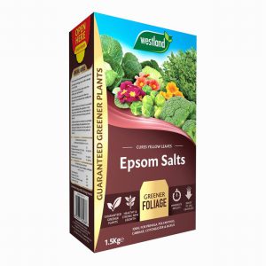 Epsom Salts 1.5Kg Box