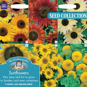 SUNFLOWERS COLLECTION