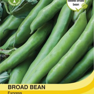 Broad Bean Express