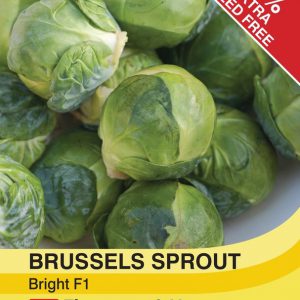 Brussels Sprout Bright F1 Hybrid