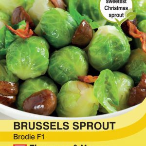Brussels Sprout Brodie F1 Hybrid
