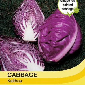 Cabbage Kalibos (Filderkraut) F1 Hybrid
