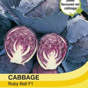 Cabbage Ruby Ball F1 Hybrid