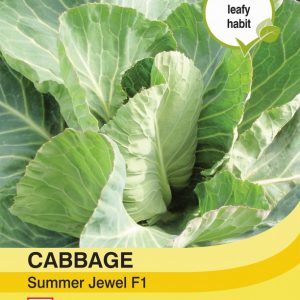 Cabbage Summer Jewel F1 Hybrid