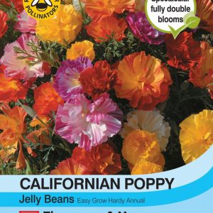 Californian Poppy Jelly Beans