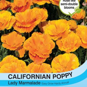 Californian Poppy Lady marmalade