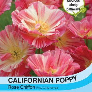 Californian Poppy Rose Chiffon