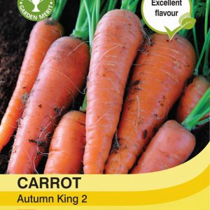 Carrot Autumn King 2