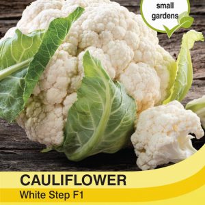 Cauliflower White Step F1 Hybrid