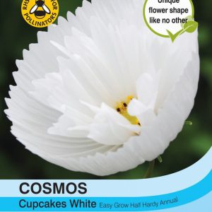 Cosmos Cupcakes – White
