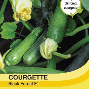 Courgette Black Forest F1 Hybrid