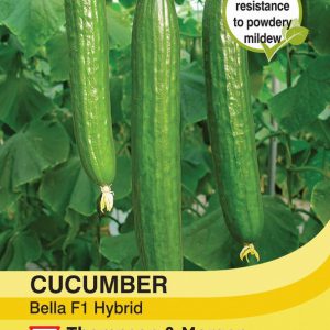 Cucumber Bella F1 Hybrid