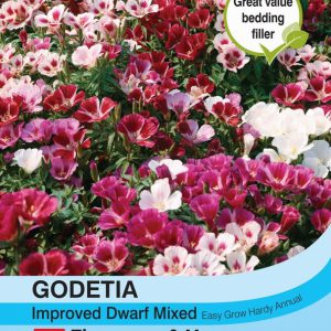 Godetia Improved Dwarf Mixed