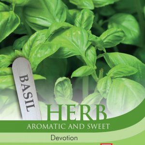 Herb Basil Devotion