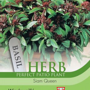 Herb Basil Siam Queen