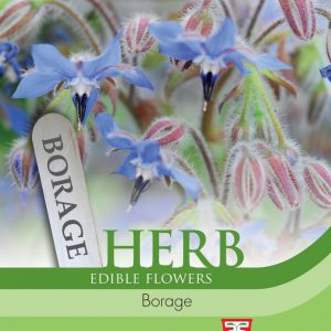 Herb Borage