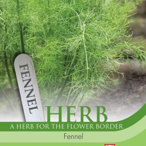 Herb Fennel