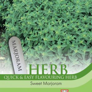 Herb Marjoram Sweet