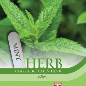 Herb Mint (Peppermint)