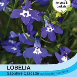 Lobelia (Trailing) Sapphire Cascade