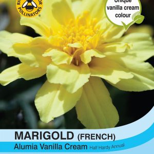 Marigold Alumia Vanilla Cream (French)