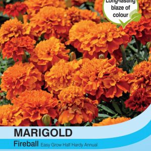 Marigold Fireball