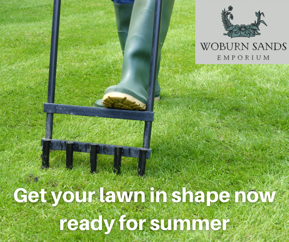 You are currently viewing Caring for Your Lawn This Spring