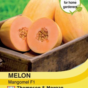 Melon Mangomel F1
