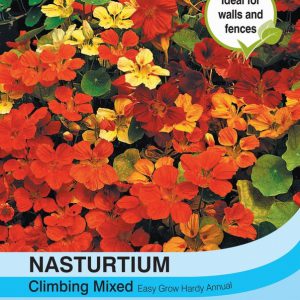 Nasturtium Climbing Mixed