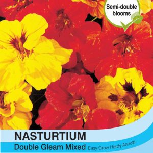 Nasturtium Double Gleam Mixed
