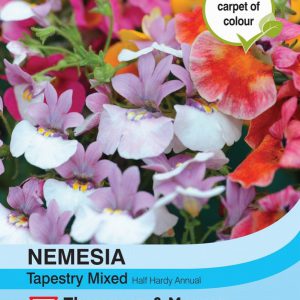 Nemesia Tapestry Mixed