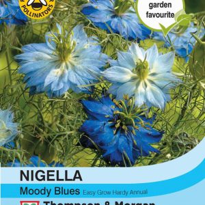 Nigella Moody Blues