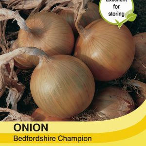 Onion Bedfordshire Champion
