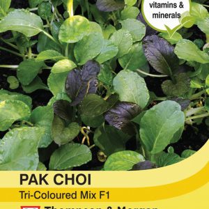 Pak Choi (Chinese Cabbage) Tricoloured Mix F1 Hybrid