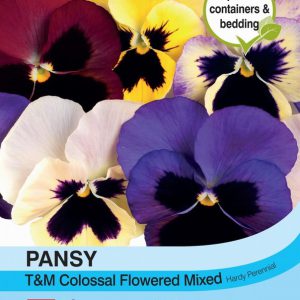Pansy T&M Colossal Flowered Mixed